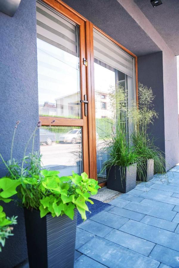Apartament Na Szkolnej Затор Екстер'єр фото