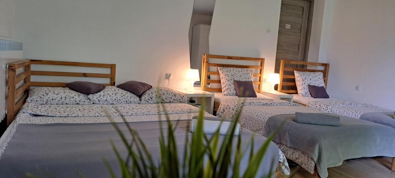 Apartament Na Szkolnej Затор Екстер'єр фото